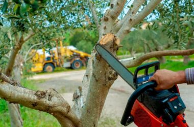 Sustainable Landscaping